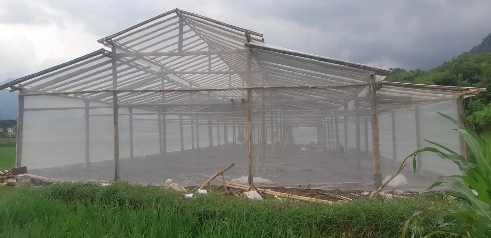 Konstruksi Greenhouse Rangka Bambu Agrokomplek Cemerlang