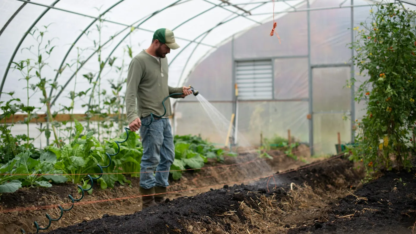 Konsultasi Teknis Konstruksi Greenhouse Agrokomplek Cemerlang Malang